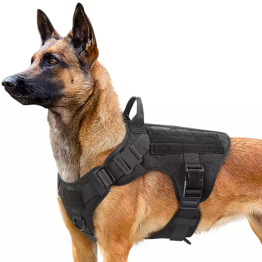 The Top Benefits of Using a Dog Harness