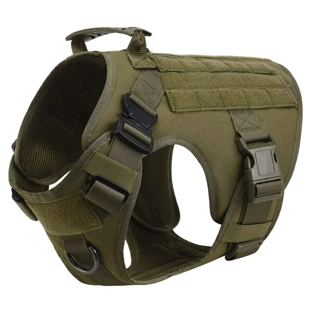 Green tactical dog harness on German Shepherd in training